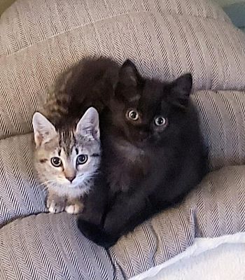 Mackai and Mindy